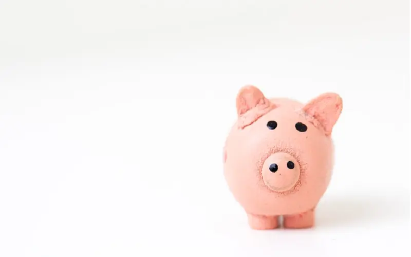 Understanding Financial Responsibility and Budgeting for Students
