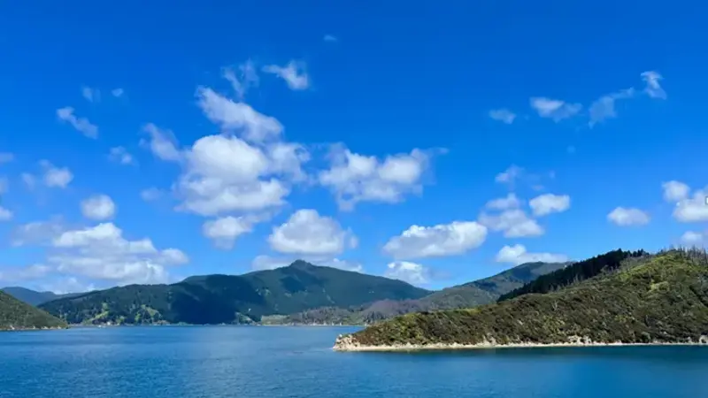 What to Look for in a Marlborough Sounds Tour Company